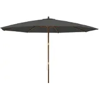 Syfax Sombrilla jardín con poste de madera gris antracita 400x273 cm