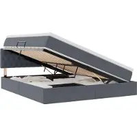 vidaXL Cama con almacenamiento y cabecero, color gris oscuro, 160 x 200 cm, tapizada en terciopelo