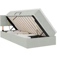 vidaXL Cama con almacenamiento y cabecero, color gris claro, 100 x 200 cm, tapizada en terciopelo