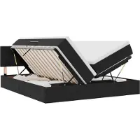 Syfax Cama de almacenamiento LED con colchón Negro 200 x 200 cm