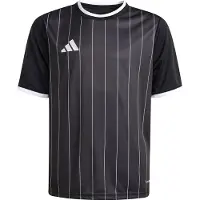 Adidas adidasCamiseta estampada Entrada26 140 Black / White Niño