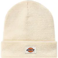 Dickies Gorro Gibsland