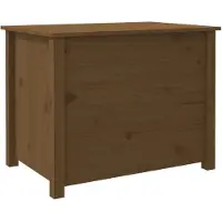 Syfax Mesa de centro de madera maciza de pino marrón miel 71x49x55 cm