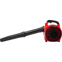 StarTech.com Soplador de hojas a gasolina - Soplador portátil de 2 tiempos - Potente rendimiento para jardín y patio - Ideal para otoño e invierno - Color: rojo y negro