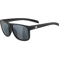 Alpina - Nacan III Mirror Cat. 3 - Gafas de sol gris