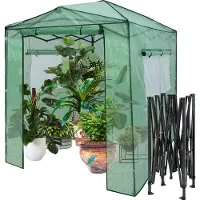 Costway Invernadero , con 2 puertas enrollables y 2 ventanas, ideal para cultivar tomates, con cubierta de lámina de polietileno, dimensiones: 180x250x230 cm, color verde