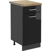 Vicco Mueble bajo de cocina R-Line Negro brillo intenso 40 cm , ET Roble, Model 46722