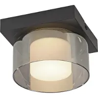 Paul Neuhaus Lámpara de techo LED RIKA 6162-18 de