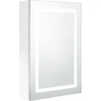 Syfax Armario de baño con espejo LED blanco brillante 50x13x70 cm