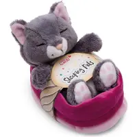 Nici Gato Durmiendo En Cesta De Peluche 12 Cm