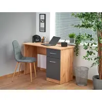 Halmar Escritorio Elmo de 120x78x55 cm, ideal para el estudio, en madera de roble y color gris oscuro