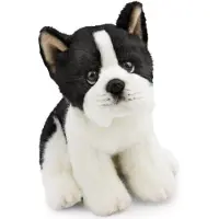 Nici Perro Bosten Terrier Teddy 20 Cm