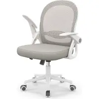 Bigzzia Silla de oficina ergonómica, silla de escritorio con cubierta de malla transpirable, reposabrazos abatibles, altura ajustable, silla giratoria de 360°, color gris
