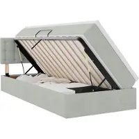 vidaXL Cama con almacenamiento y cabecero, color gris claro, 100 x 200 cm, tapizada en terciopelo