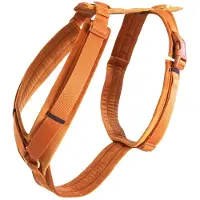 Kentucky Arnés Para Perros Active Velvet