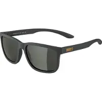 Alpina - Burst S3 - Gafas de sol gris
