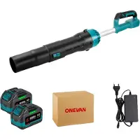 OEM Secador turbo, 8000W de potencia, motor sin escobillas, 2 baterías, enchufe tipo EU