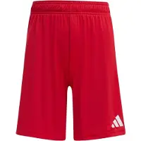 Adidas Pantalón deportivo 'Entrada26' rojo sangre / blanco