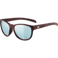 Alpina - Nacan II S3 - Gafas de sol gris