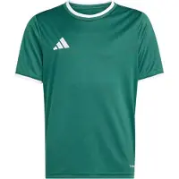 Adidas Camiseta funcional 'ENT26' verde oscuro / blanco
