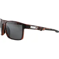 Alpina - Stream S3 - Gafas de sol gris