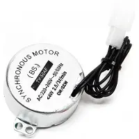Wiltec Pieza de repuesto para incubadora automática de la serie WQ, modelo de 48 huevos: motor de volteo – Motor de volteo de repuesto para incubadora con sistema de volteo