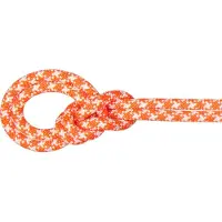 Mammut - 9.5 Crag Classic Rope - Cuerda simple size 60 m, multicolor
