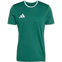 Adidas Camiseta funcional 'ENT26' verde / blanco