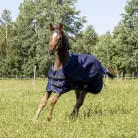HKM Manta para caballos Professional, con forro polar, 0 gramos, color azul oscuro