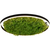 JUST LIGHT GERDA RITUS: Lámpara de techo LED, luz cálida, regulable, 28W, color verde musgo, modelo 15392-66