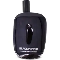 Comme des Garcons Eau De Parfum Blackpepper 100ml