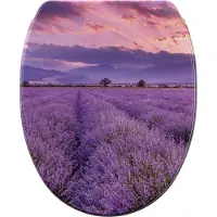 Sanilo Asiento de inodoro con sistema de cierre suave y sistema de fijación rápida, color lavanda. Tapa de inodoro directamente del fabricante. Tapa de inodoro, asiento de inodoro