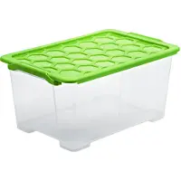 Rotho 1008105092, caja de almacenamiento, verde, transparente, rectangular, de un solo color, para uso interior, 44 litros