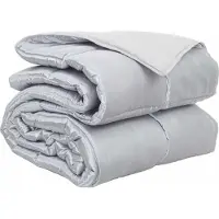vidaXL Manta de cama para todas las estaciones, 155 x 200 cm, 300 g/m², color plateado