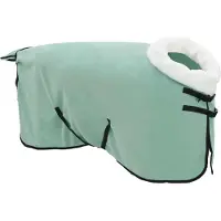 vidaXL Manta para caballo, color verde especial, 115 cm, polarfleece
