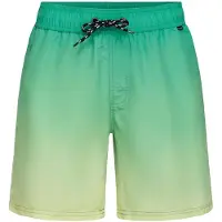 Blend Bermudas ' BHRislea ' verde