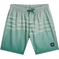 O'Neill Bermudas pino / verde claro / blanco