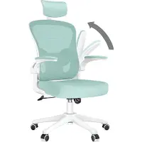 Bigzzia Silla de oficina - Silla de oficina ergonómica - Silla giratoria con soporte lumbar - reposacabezas, reposabrazos y altura ajustables - color blanco y verde