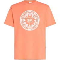 O'Neill Camiseta 'Musthave' albaricique / blanco