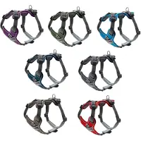 Hunter - Harness Divo - Arnés para perro size Hals 34-50 cm, Bauch 56-73 cm - Breite 2,0 cm, lightblue /gris