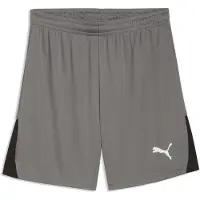 Puma Pantalón deportivo 'TeamLIGA26' gris / negro / blanco