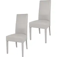 STOCK LINE t m c s Tommychairs - Juego de 2 sillas modernas LUISA para cocina y comedor, estructura robusta de haya lacada en color gris claro, tapizadas y revestidas con cuero sintético gris claro
