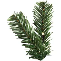 Star Trading Árbol de Navidad LED "Ottawa", preiluminado, con aproximadamente 150 cm de altura, 110 luces LED blancas cálidas, para uso en exteriores, modelo 609-03