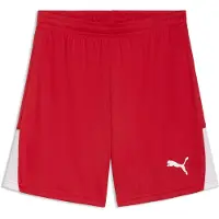 Puma Pantalón deportivo 'TeamLiga26' rojo / blanco