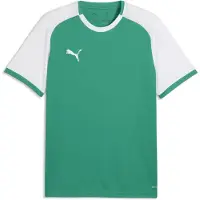 Puma Camiseta funcional 'TeamLIGA26 Matchday' verde claro / blanco