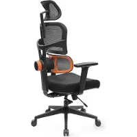 NEWTRAL : Silla de oficina ergonómica – Silla de escritorio con respaldo alto