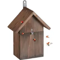 B2X La casita de madera de la mariquita