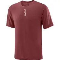 Salomon - Ropa para trail running - Ultra SS Tee M Syrah de Lana - Talla S - Rojo
