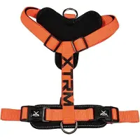 Nayeco Arnés Para Perros X-trm Cronos Neon Flash