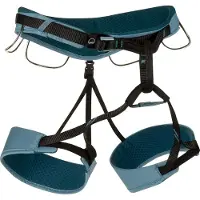 Wild Country - Women's Flow 2.0 - Arnés para escalada size L, turquesa